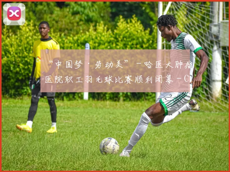 “中国梦·劳动美” - 哈医大肿瘤医院职工羽毛球比赛顺利闭幕 - Copy (8)