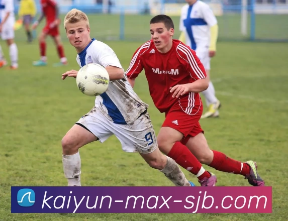 开云 Max，开云 Max，开云官网，开云游戏平台，开云APP品牌故事